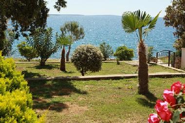Ferienwohnung in Mandre (Zadarska) oder Ferienwohnung oder Ferienhaus
