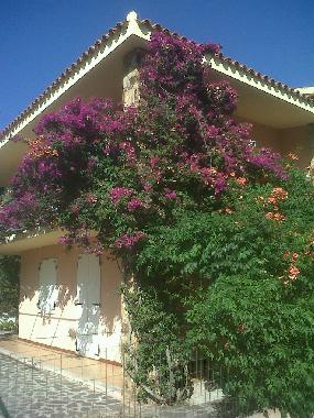 Ferienhaus in Budoni (Olbia-Tempio) oder Ferienwohnung oder Ferienhaus