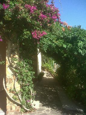 Ferienhaus in Budoni (Olbia-Tempio) oder Ferienwohnung oder Ferienhaus