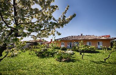 Ferienwohnung in Izola (Izola) oder Ferienwohnung oder Ferienhaus