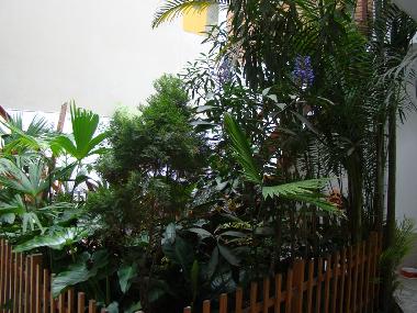 Ferienwohnung in Miraflores (Lima) oder Ferienwohnung oder Ferienhaus
