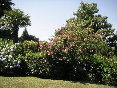 Grosser Garten zum spielen und grillieren