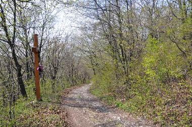 Ferienhaus in Ojcw (Malopolskie) oder Ferienwohnung oder Ferienhaus
