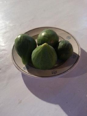 Ferienhaus in ostuni (Brindisi) oder Ferienwohnung oder Ferienhaus