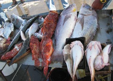 Villa in Isola delle Femmine (Palermo) oder Ferienwohnung oder Ferienhaus