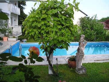 Ferienwohnung in Vilshofen a.d. Donau (Niederbayern) oder Ferienwohnung oder Ferienhaus