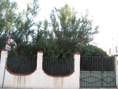 Villa in Isola delle Femmine (Palermo) oder Ferienwohnung oder Ferienhaus