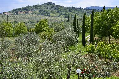 Ferienwohnung in Rignano Sull