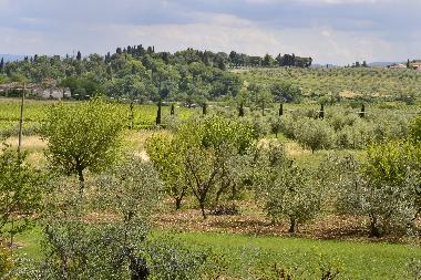 Ferienwohnung in Rignano Sull
