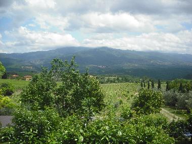 Ferienwohnung in Rignano Sull