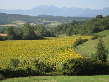 Ferienhaus in Manses (Ari�ge) oder Ferienwohnung oder Ferienhaus