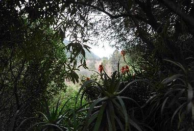 Ferienwohnung in Porto Ota (Corse-du-Sud) oder Ferienwohnung oder Ferienhaus