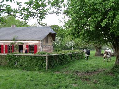 Ferienhaus in Saint Aubin de Bonneval (Orne) oder Ferienwohnung oder Ferienhaus