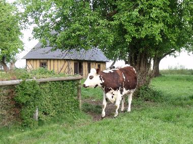 Ferienhaus in Saint Aubin de Bonneval (Orne) oder Ferienwohnung oder Ferienhaus