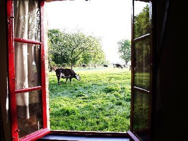 Ferienhaus in Saint Aubin de Bonneval (Orne) oder Ferienwohnung oder Ferienhaus