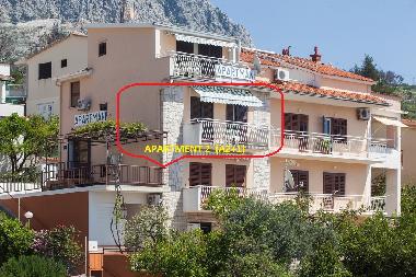 Ferienwohnung in Podgora (Splitsko-Dalmatinska) oder Ferienwohnung oder Ferienhaus