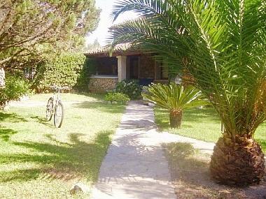 Villa in Porto Rotondo (Olbia-Tempio) oder Ferienwohnung oder Ferienhaus