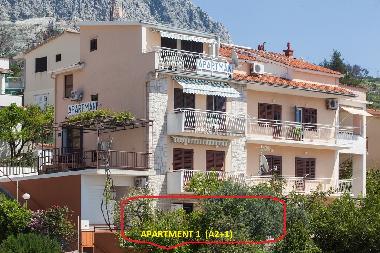 Ferienwohnung in Podgora (Splitsko-Dalmatinska) oder Ferienwohnung oder Ferienhaus