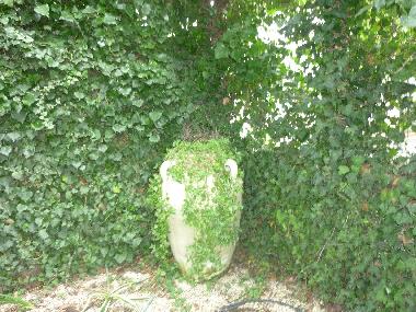 Villa in Treccastagni (Catania) oder Ferienwohnung oder Ferienhaus