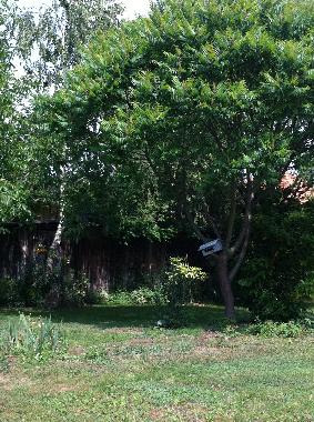 Ferienhaus in gy�k�nyes (Somogy) oder Ferienwohnung oder Ferienhaus