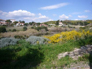Im Frhling blht es rund um die Ferienvilla