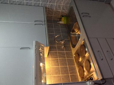 Ferienwohnung in alvor (Algarve) oder Ferienwohnung oder Ferienhaus