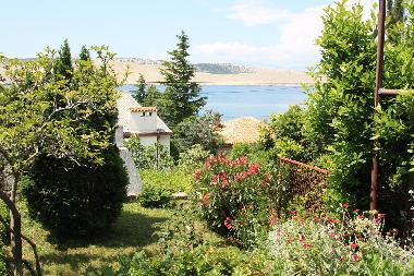 Ferienwohnung in Jadranovo (Primorsko-Goranska) oder Ferienwohnung oder Ferienhaus