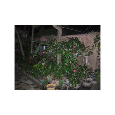 Ferienhaus in lom� (Notse) oder Ferienwohnung oder Ferienhaus