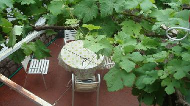 Ferienhaus in Rijeka Rezevici (Montenegro) oder Ferienwohnung oder Ferienhaus