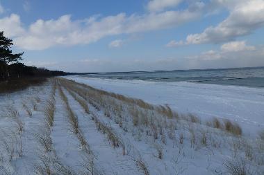 Strand Sellin nur 300 m entfernt