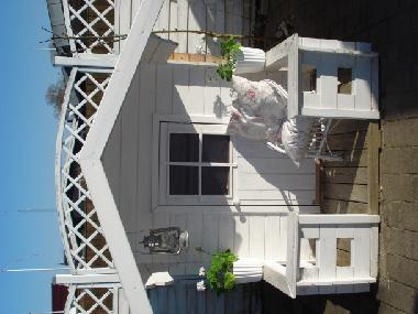 Ferienhaus in Otterup (Fyn) oder Ferienwohnung oder Ferienhaus