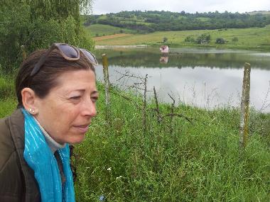 Ferienhaus in sancel (Sibiu) oder Ferienwohnung oder Ferienhaus
