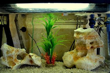 Pension in Catania (Catania) oder Ferienwohnung oder Ferienhaus