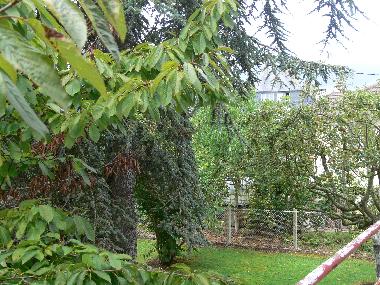 Ferienhaus in TROUVILLE sur mer (Calvados) oder Ferienwohnung oder Ferienhaus