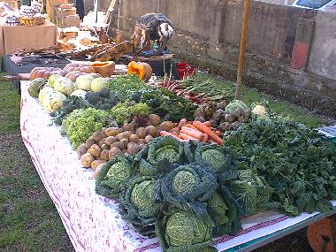 Pension in Collesalvetti - Crocino (Livorno) oder Ferienwohnung oder Ferienhaus