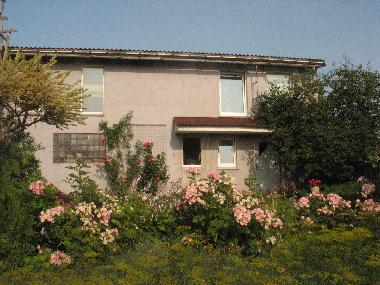 Ferienhaus in Liepaja (Lettland) oder Ferienwohnung oder Ferienhaus