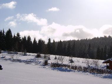 Ferienwohnung in Vesser (Th�ringer Wald) oder Ferienwohnung oder Ferienhaus