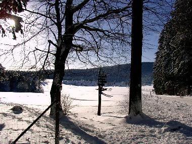 Ferienwohnung in Vesser (Th�ringer Wald) oder Ferienwohnung oder Ferienhaus