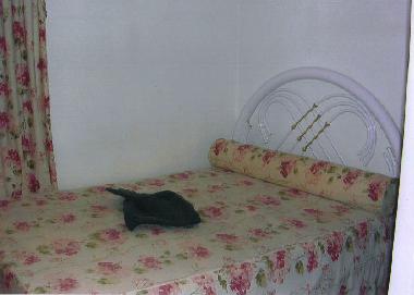 Ferienhaus in Luz (Algarve) oder Ferienwohnung oder Ferienhaus