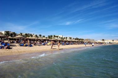 Ferienwohnung in Krimovica bei Budva (Montenegro) oder Ferienwohnung oder Ferienhaus
