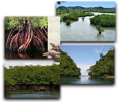 Pension in San Isidro (Surigao del Norte) oder Ferienwohnung oder Ferienhaus