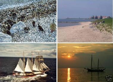 Chalet in Warns (Friesland) oder Ferienwohnung oder Ferienhaus