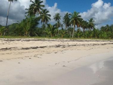 Villa in SAMANA (Samana) oder Ferienwohnung oder Ferienhaus