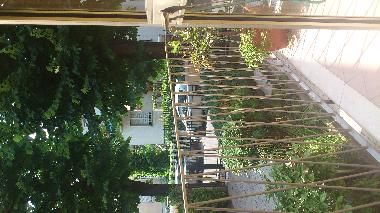 Ferienwohnung in Rimini (Rimini) oder Ferienwohnung oder Ferienhaus