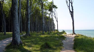 Ferienwohnung in Ostseebad Nienhagen (Mecklenburgische Ostseek�ste) oder Ferienwohnung oder Ferienhaus