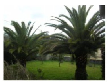 Villa in Cuide Vilaverde (Norte) oder Ferienwohnung oder Ferienhaus