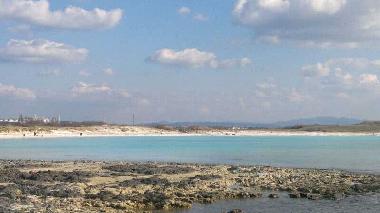 Ferienwohnung in LIVORNO (Livorno) oder Ferienwohnung oder Ferienhaus