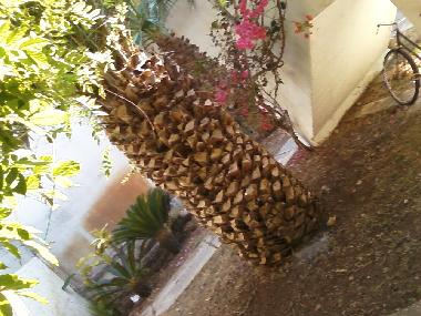 Ferienwohnung in ISPICA (Siracusa) oder Ferienwohnung oder Ferienhaus