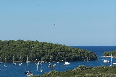 Pension in Pula (Istarska) oder Ferienwohnung oder Ferienhaus