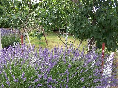 Ferienwohnung in Pula (Istarska) oder Ferienwohnung oder Ferienhaus